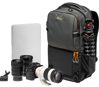 Рюкзак Lowepro Fastpack BP 250 AW III серый